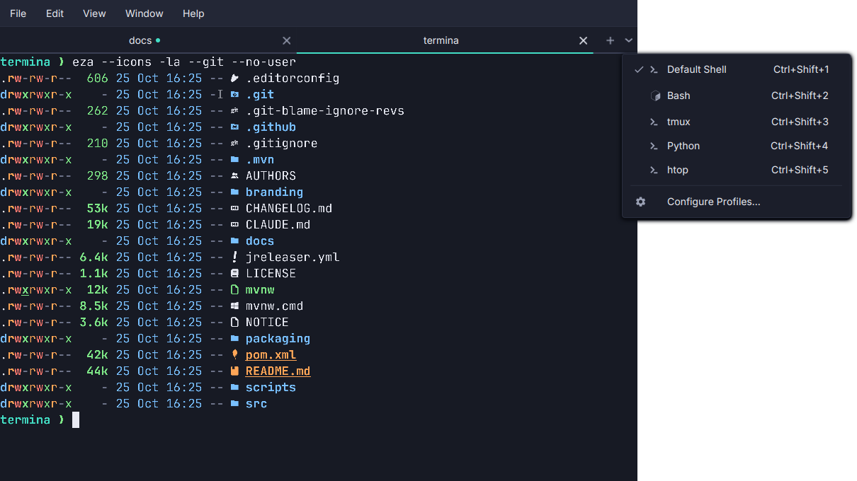 Shell profiles in Termina